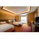Deluxe Double or Twin Room with City View